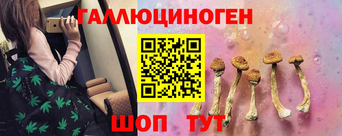 Псилоцибиновые грибы GOLDEN TEACHER  Вход с VPN  купить наркотики цена  Строитель  Псилоцибиновые грибы ЛСД 