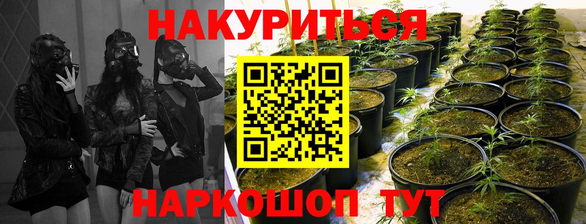 Канабис OG Kush  Вход с VPN  Марихуана THC 21%  Строитель  Бошки марихуана семена 
